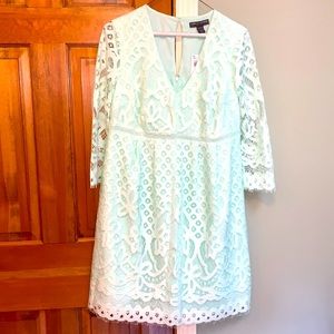 NWT A Pea in the Pod maternity dress